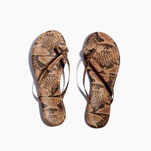 TKEES - Riley Coco Snake